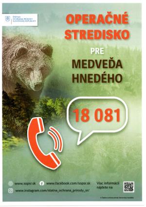 medveď